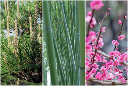 Sho Chiku Bai, Kiefer Bambus und Pflaumenblüte
